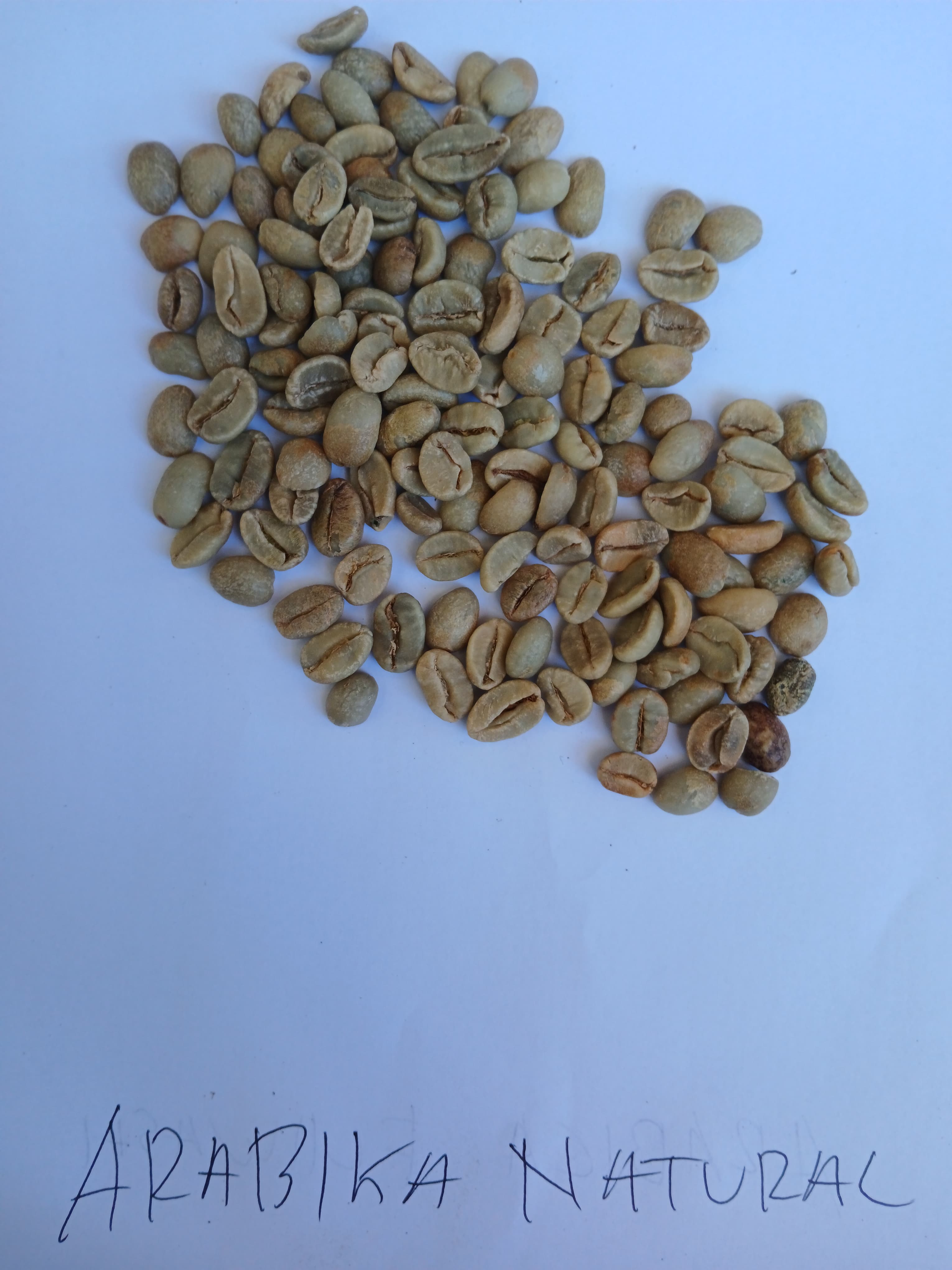 Coffee Arabica Subang